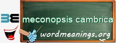 WordMeaning blackboard for meconopsis cambrica